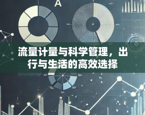 流量计量与科学管理,出行与生活的高效选择