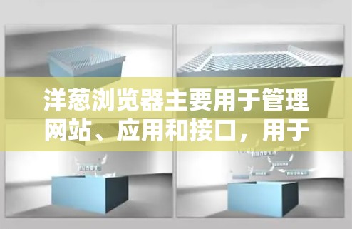 洋葱浏览器主要用于管理网站、应用和接口，用于网站开发和维护。科学上网意味着在使用洋葱浏览器时，确保网络安全和高效访问。以下是一些科学上网的步骤和技巧