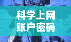 科学上网账户密码的安全性可以从以下几个方面进行分析