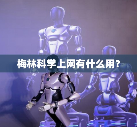 梅林科学上网有什么用？
