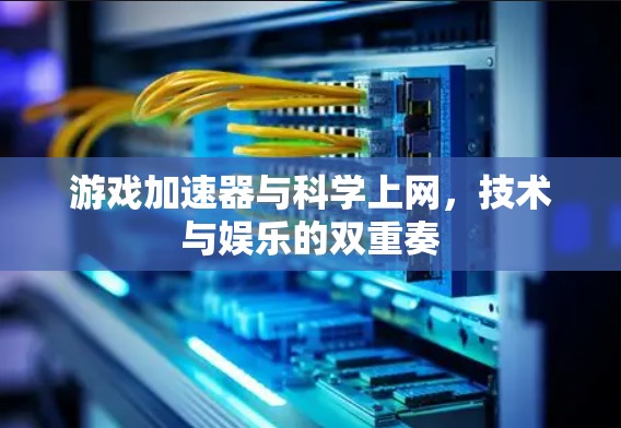 游戏加速器与科学上网,技术与娱乐的双重奏