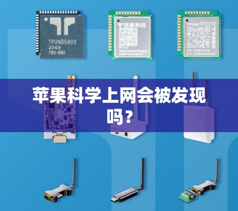苹果科学上网会被发现吗?