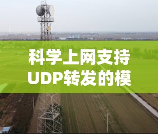 科学上网支持UDP转发的模式基于UDP的无连接特性,通过分发和重传机制来提高数据传输效率和可靠性。以下是该模式的详细分析