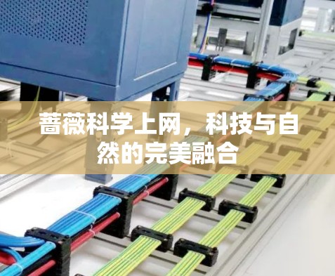 蔷薇科学上网,科技与自然的完美融合