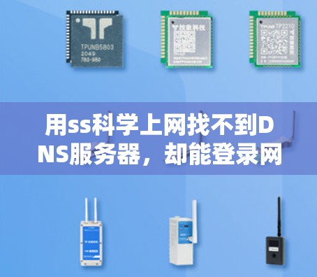 用ss科学上网找不到DNS服务器，却能登录网站，解决DNS服务器不在服务器列表的问题