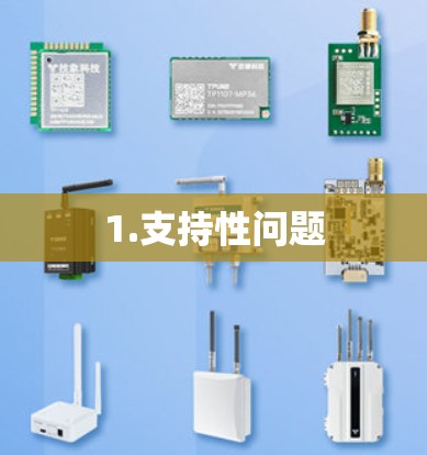 1.支持性问题