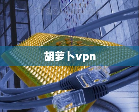 胡萝卜vpn 胡萝卜vpn