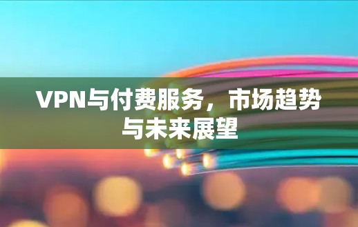VPN与付费服务,市场趋势与未来展望