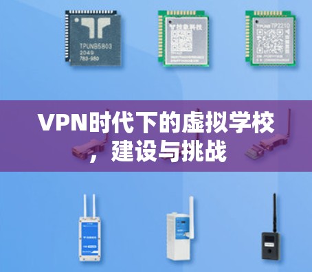 VPN时代下的虚拟学校,建设与挑战