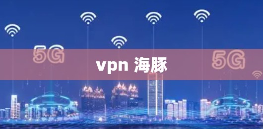 vpn 海豚
