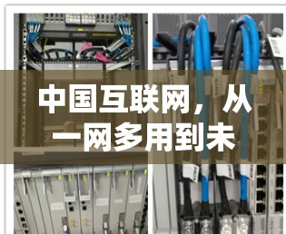 中国互联网，从一网多用到未来发展的新路径