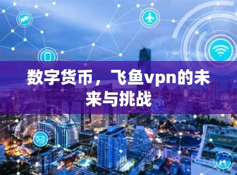 数字货币,飞鱼vpn的未来与挑战
