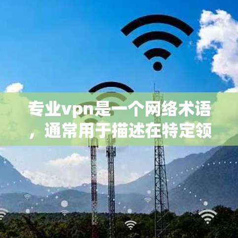 专业vpn是一个网络术语,通常用于描述在特定领域或行业中使用VPN技术的专业化和可靠性。它强调了使用VPN作为安全技术的一部分,以确保数据的安全传输和隐私保护