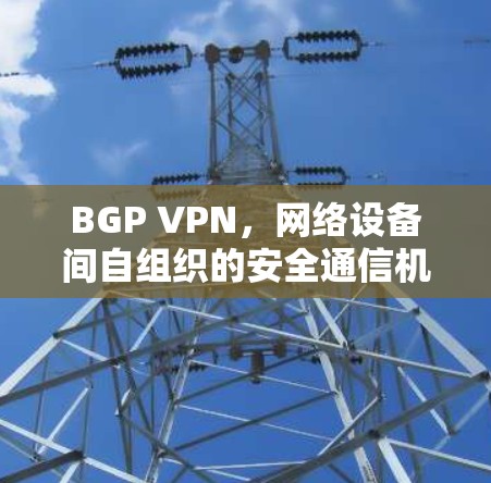 BGP VPN,网络设备间自组织的安全通信机制