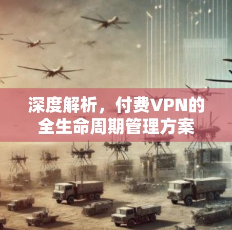深度解析,付费VPN的全生命周期管理方案
