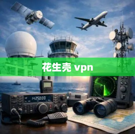 花生壳 vpn