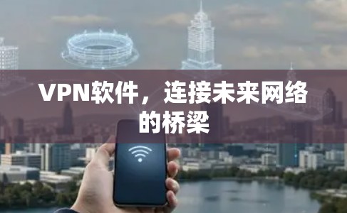 VPN软件，连接未来网络的桥梁