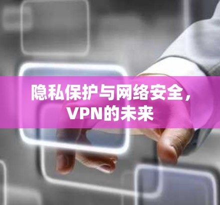 隐私保护与网络安全,VPN的未来