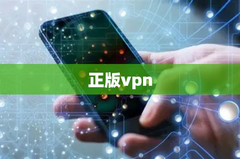 正版vpn