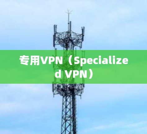专用VPN(Specialized VPN)
