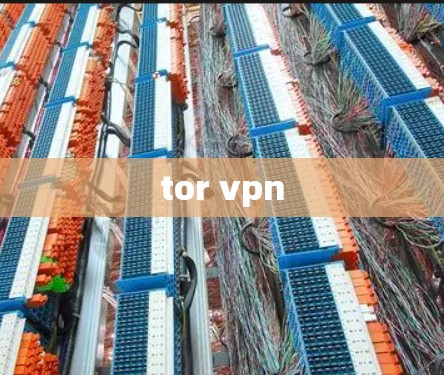 tor vpn