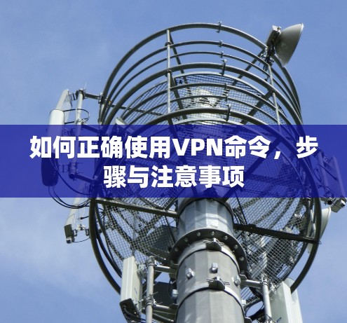 如何正确使用VPN命令,步骤与注意事项