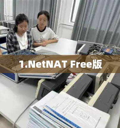 1.NetNAT Free版