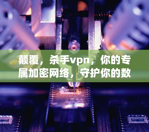 颠覆，杀手vpn，你的专属加密网络，守护你的数据安全