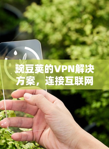 豌豆荚的VPN解决方案,连接互联网的便捷之路