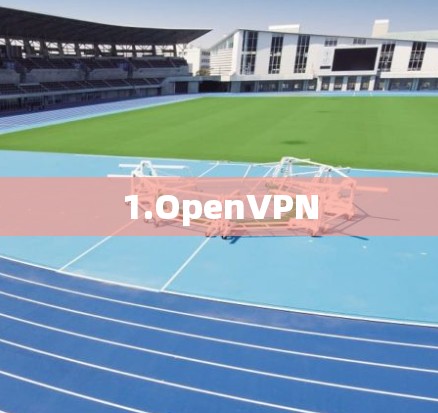 1.OpenVPN