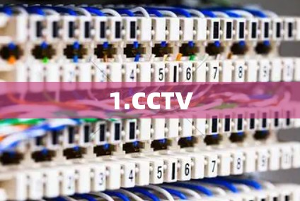 1.CCTV