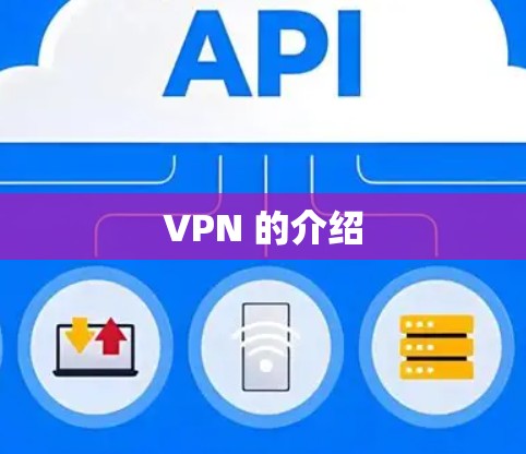 VPN 的介绍