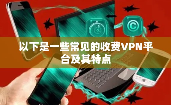 以下是一些常见的收费VPN平台及其特点