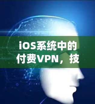 iOS系统中的付费VPN,技术细节、使用场景与安全性分析
