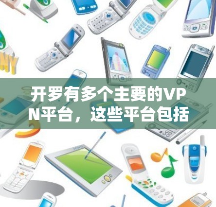 开罗有多个主要的VPN平台,这些平台包括