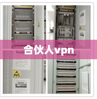 合伙人vpn 合伙人vpn