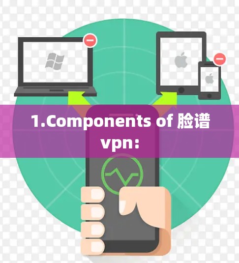 1.Components of 脸谱vpn: 1.Components of 脸谱vpn: