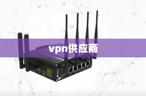 vpn供应商 vpn供应商