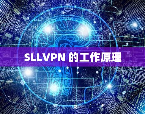 SLLVPN 的工作原理