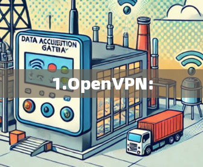 1.OpenVPN: 1.OpenVPN: