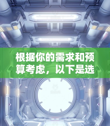 根据你的需求和预算考虑,以下是选择VPN软件的建议