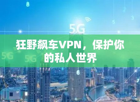 狂野飙车VPN,保护你的私人世界