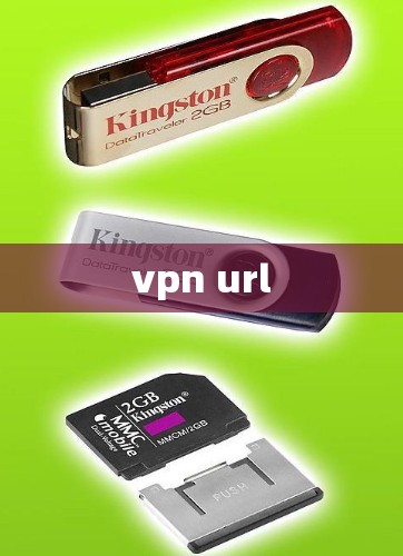 vpn url
