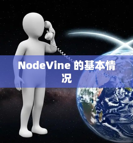 NodeVine 的基本情况