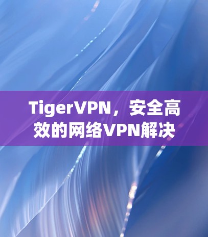 TigerVPN,安全高效的网络VPN解决方案
