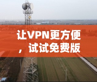 让VPN更方便,试试免费版吧!
