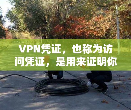 VPN凭证，也称为访问凭证，是用来证明你在使用VPN服务时确实访问了目标网站或服务器的证据。这些凭证通常由网络服务提供商发送给你的网络设备，用于验证你的身份和访问权限