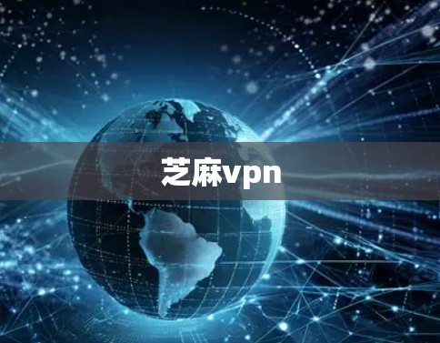 芝麻vpn 芝麻vpn