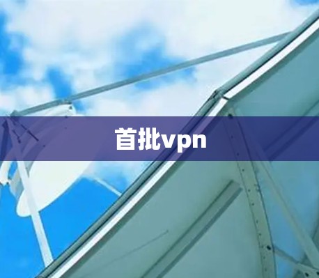 首批vpn