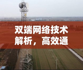 双端网络技术解析,高效通信的根本保障